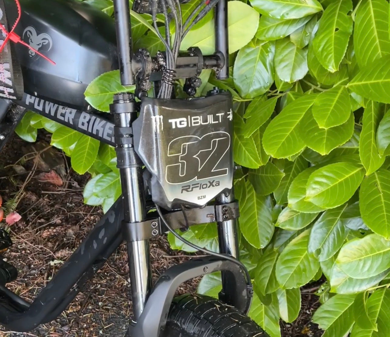 3D printed plate and Decal