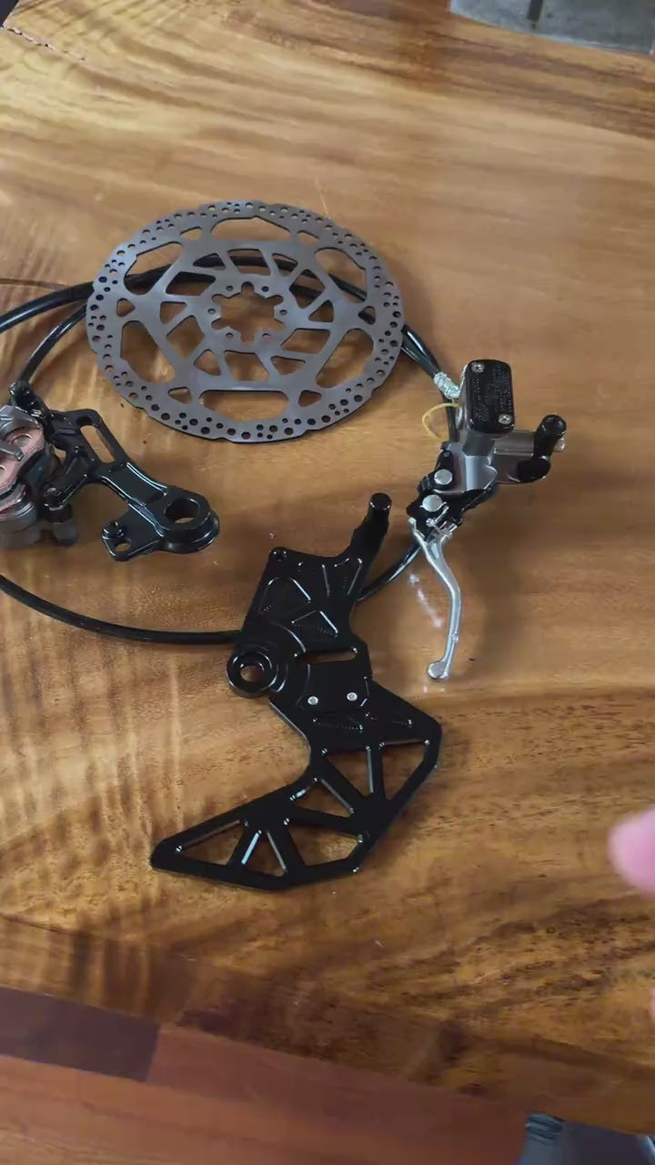 Ultra Bee brakes